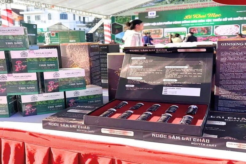 'Đánh thức' thương hiệu sâm Lai Châu trên đỉnh Pusilung