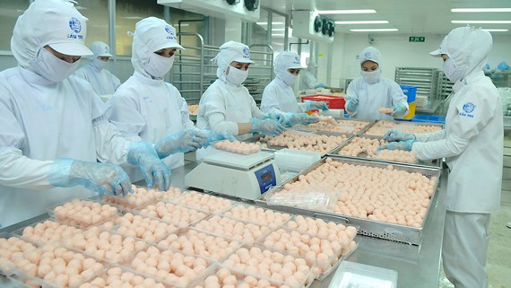 Doanh nghiệp ngoại tăng lợi nhuận “khủng” tại Việt Nam