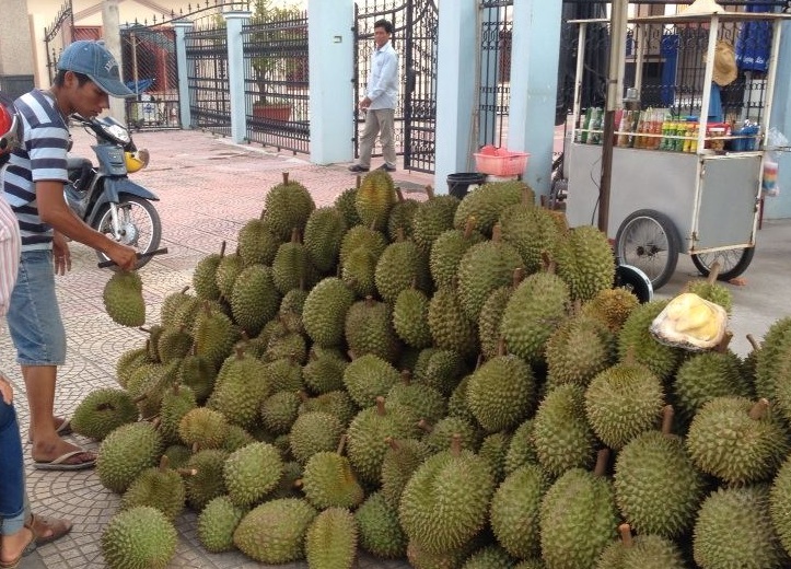 Trái cây Việt 'chuyên nghiệp hoá' để vào Trung Quốc