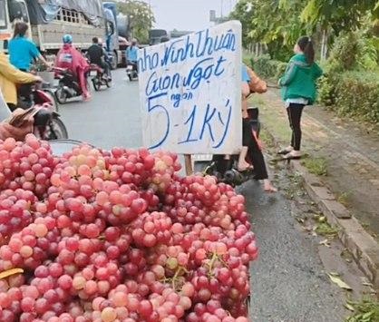 Màn biến hóa tinh vi "gây lú" của hàng hoa quả vỉa hè khiến nhiều người mắc lừa, mất tiền mua xong vẫn chưa hiểu tại sao