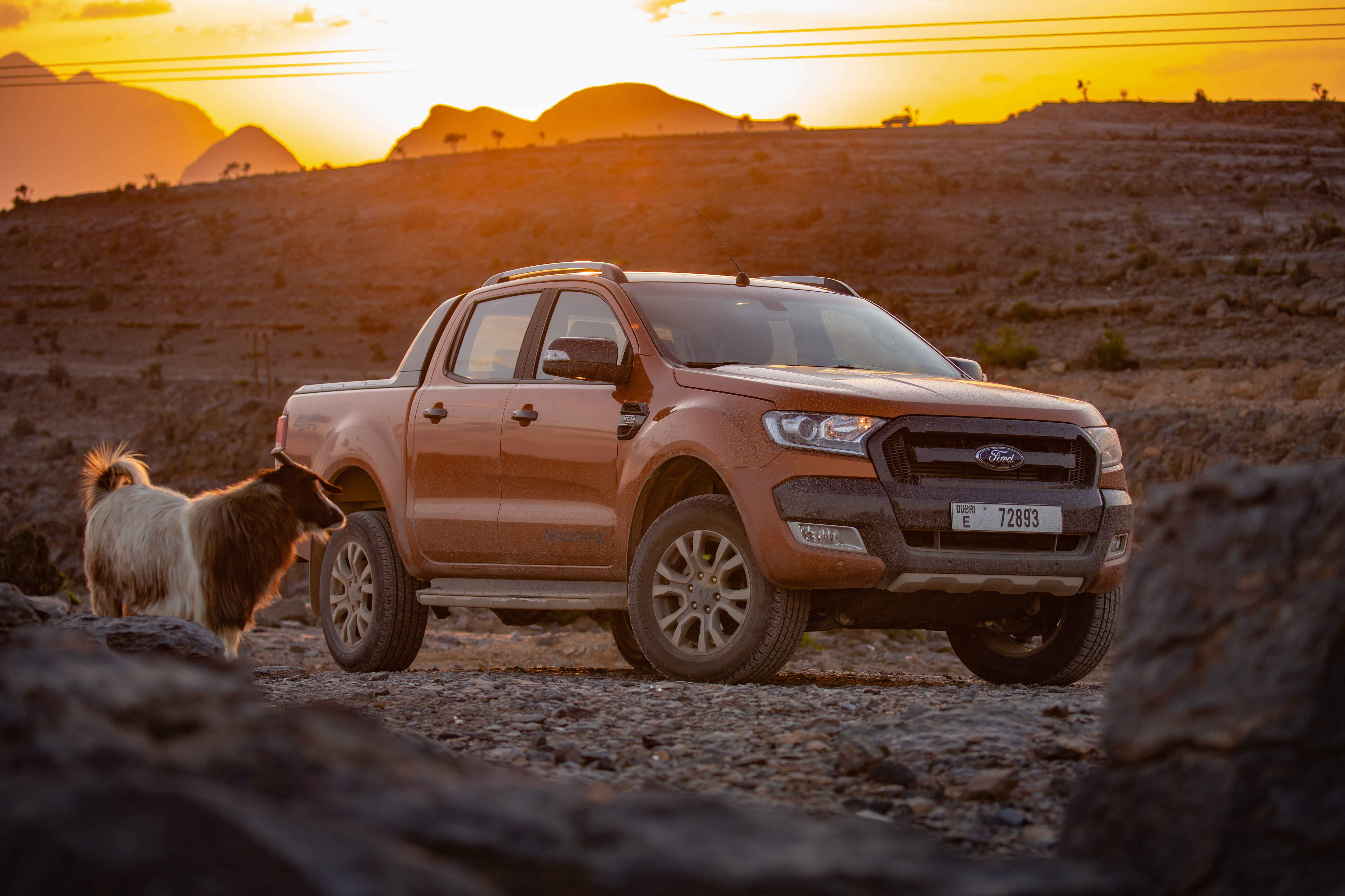 Ford Tăng Cường Ứng Phó Biến Đổi Khí Hậu 