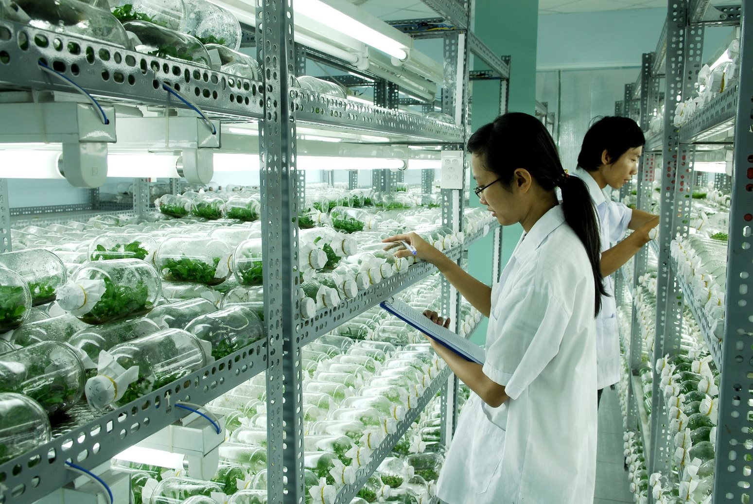 TP.HCM tăng tốc nông nghiệp công nghệ cao