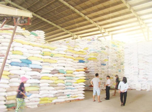 Nâng giá trị gia tăng của hạt gạo