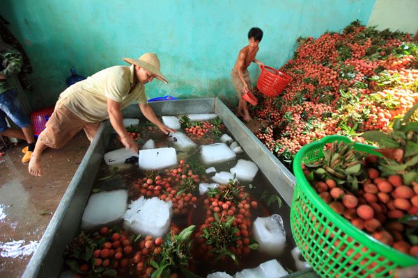 Quy hoạch trong nông nghiệp còn manh mún, thiếu đồng bộ