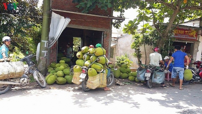 “Vương quốc” trái cây đứng ngồi không yên trước nguy cơ virus corona