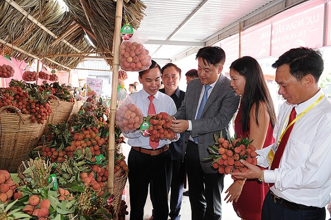 Xuất khẩu nông sản: Thích ứng bối cảnh mới
