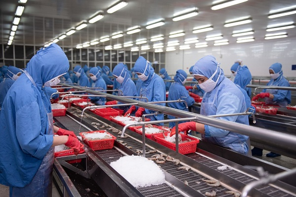 Giải pháp nào để ngành thủy sản phục hồi sau dịch Covid-19?