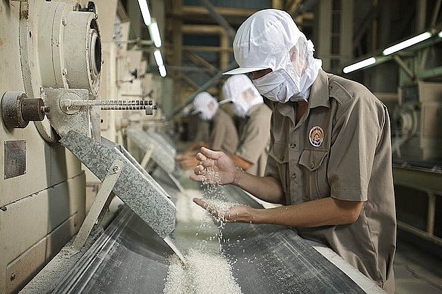 Doanh nghiệp xuất khẩu gạo tích cực tìm đối tác từ tháng 5