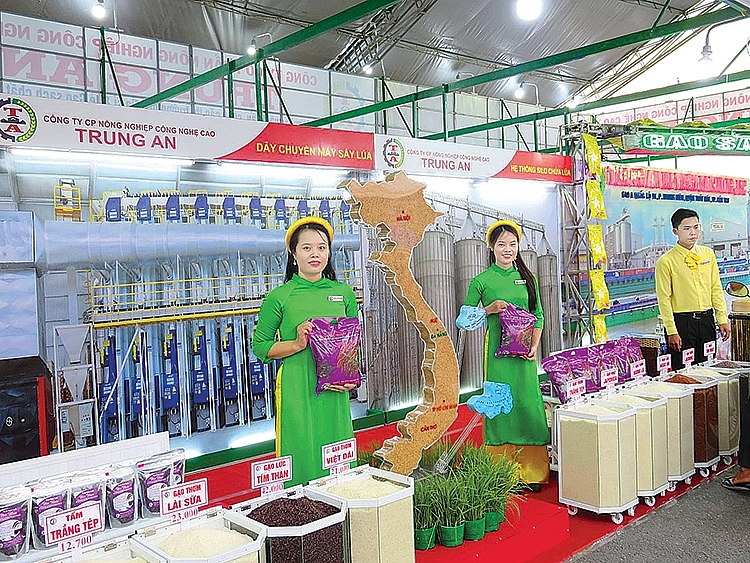 Giá gạo xuất khẩu: Biến động theo nhu cầu?