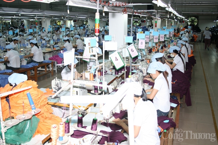Đà Nẵng: Nhiều doanh nghiệp xuất khẩu “sống tốt” nhờ chủ động thích ứng