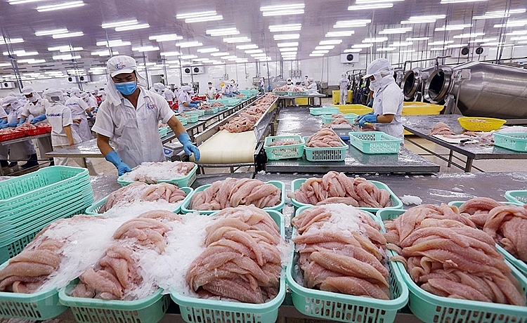 Ngành cá tra: Loay hoay “tìm cửa” thị trường nội địa