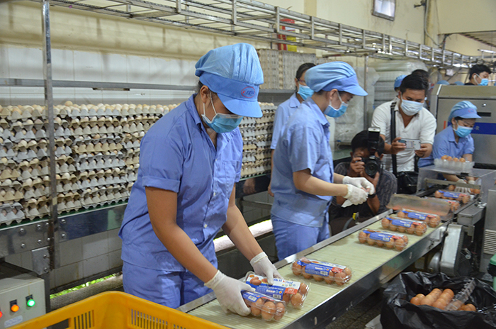 Hợp tác thương mại giữa TP. Hồ Chí Minh và các tỉnh, thành phố: Hiệu quả, thực chất