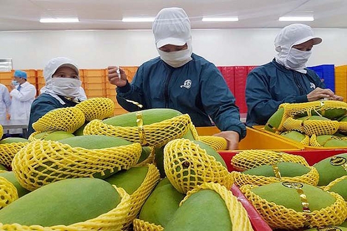 Xuất khẩu rau, quả: Khẳng định giá trị ở thị trường mới