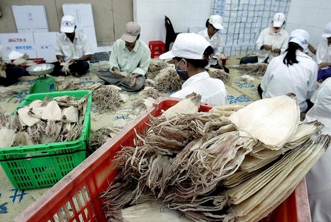 Xuất khẩu mực, bạch tuộc tiếp đà tăng trưởng