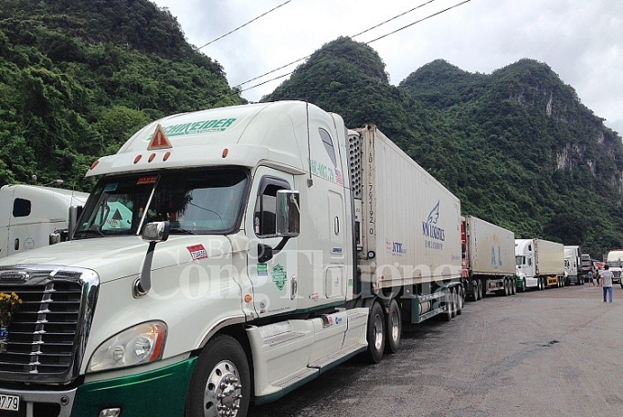 Xuất khẩu nông sản sang Trung Quốc: Doanh nghiệp cần thay đổi tư duy
