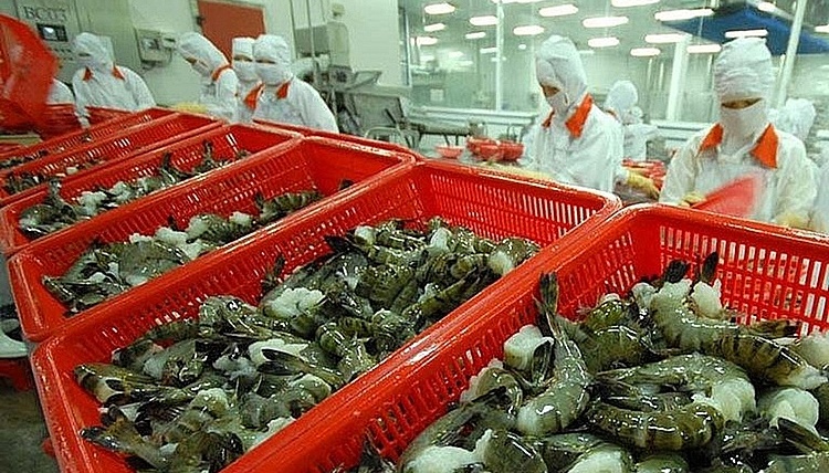 Doanh nghiệp xuất khẩu thủy sản cần có biện pháp ứng phó phù hợp