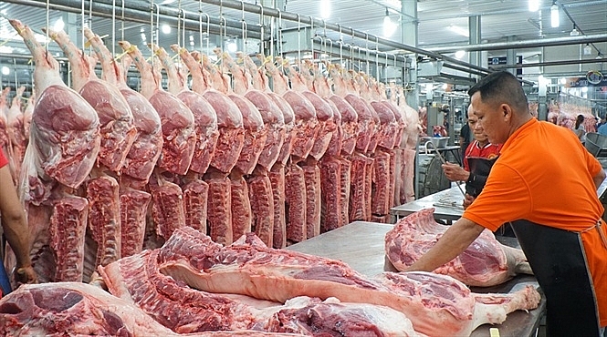 Giá heo leo thang từng ngày, miền Bắc tiệm cận 100.000 đồng/kg