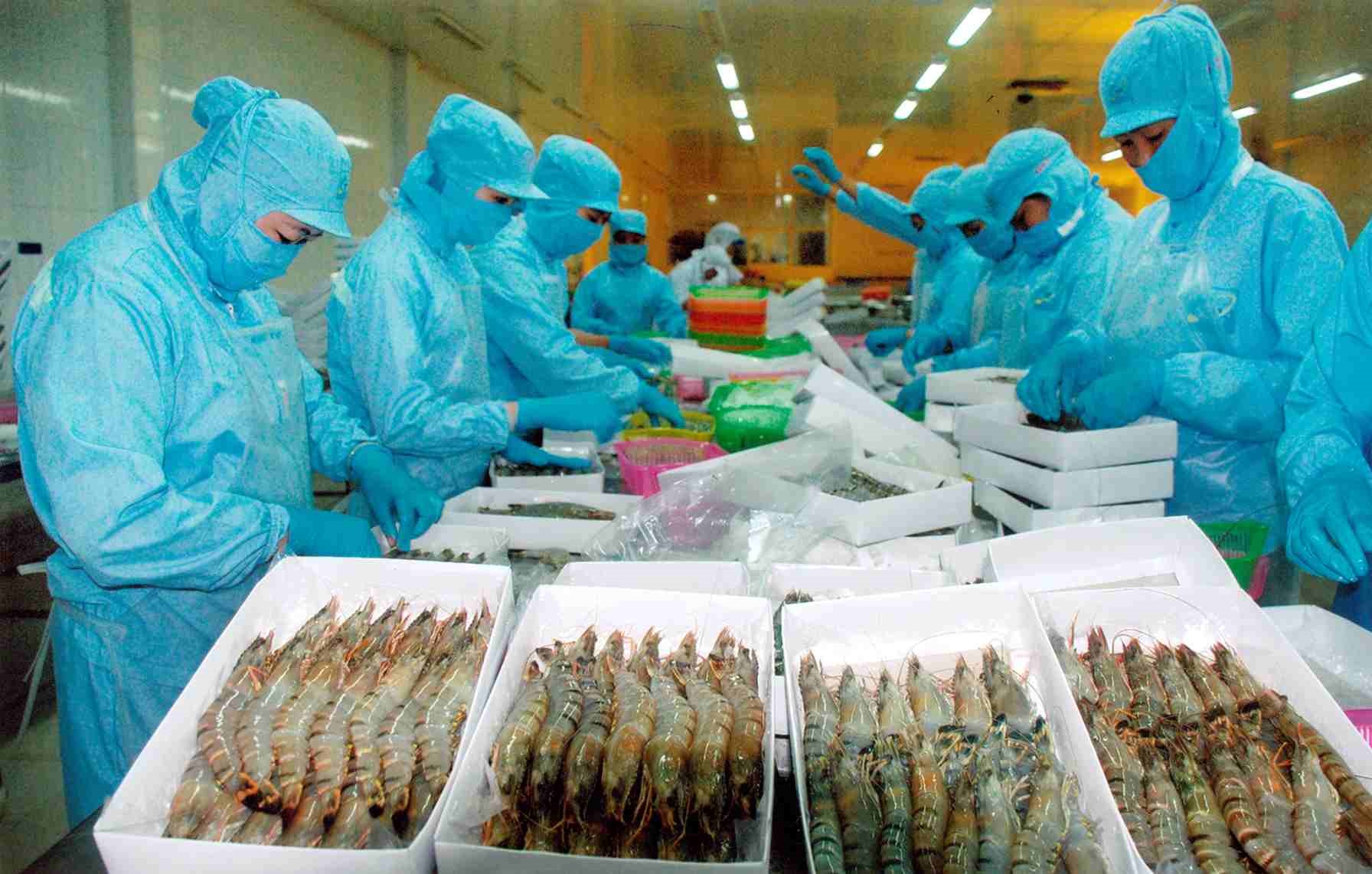 Xây dựng Bạc Liêu thành trung tâm ngành CN tôm của cả nước