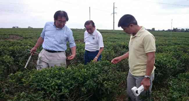 Nông nghiệp bền vững với công nghệ tiên tiến Nhật Bản