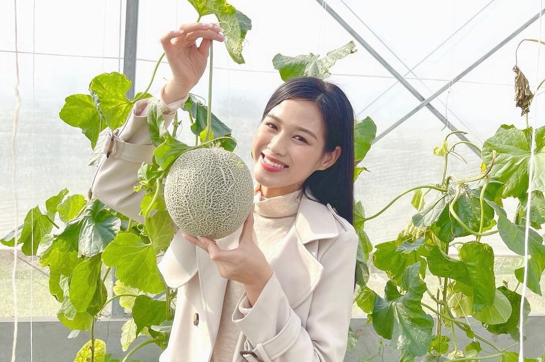 Hoa hậu Đỗ Thị Hà khoe đôi chân cực phẩm 1m11 với mốt “quần mất tích“