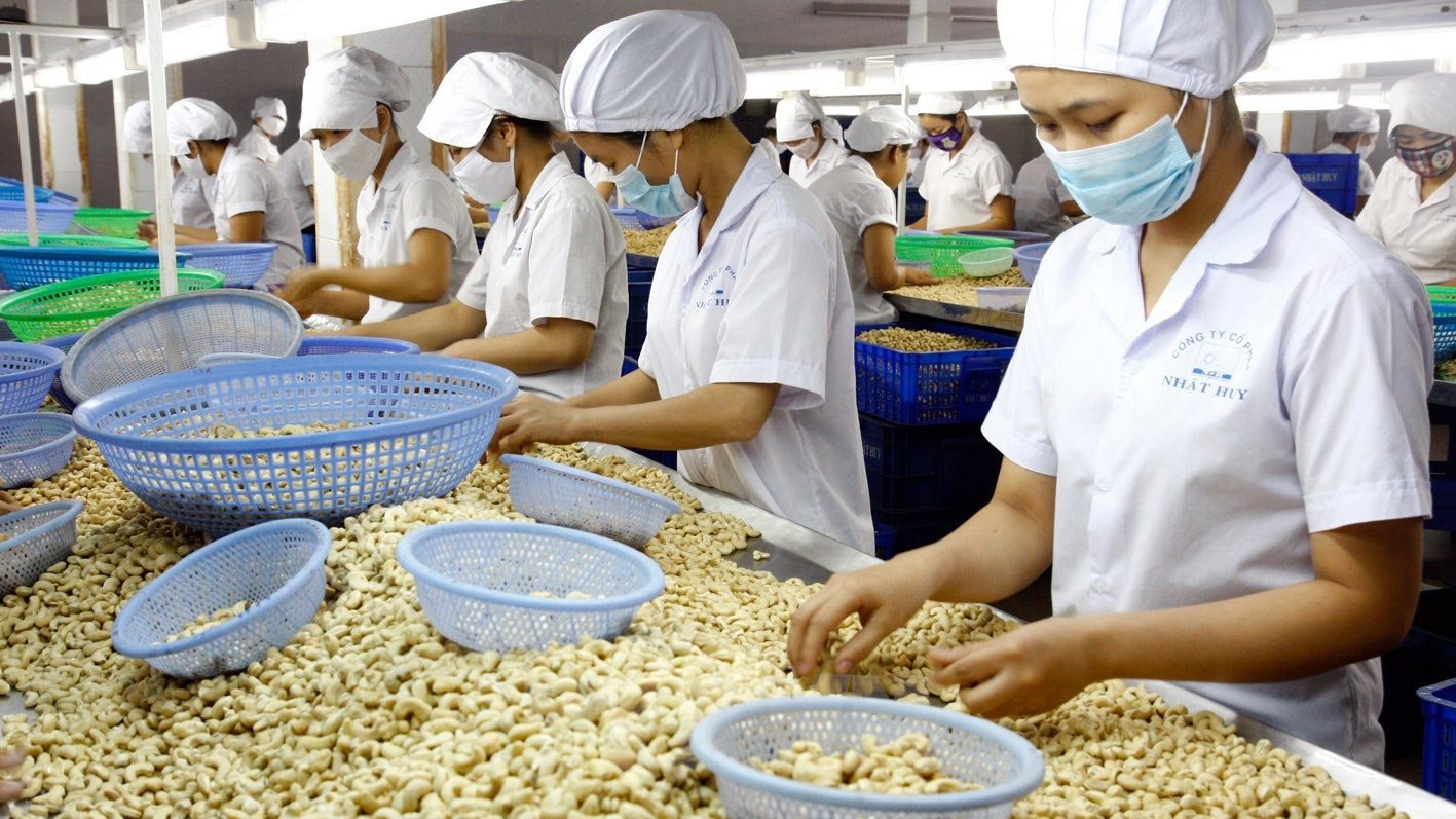 Doanh nghiệp điều cần cân nhắc trong nhập khẩu