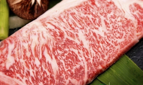Doanh nghiệp đua nhau nuôi bò Nhật