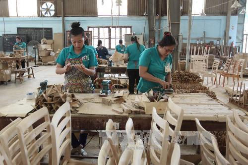 Ngành chế biến gỗ ứng dụng công nghệ tạo sức cạnh tranh sản phẩm