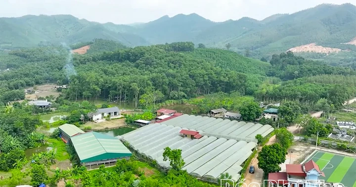 Cự Đồng phát triển kinh tế xanh, bền vững