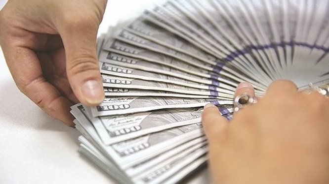 Dòng vốn ngoại tệ đã đi đâu?