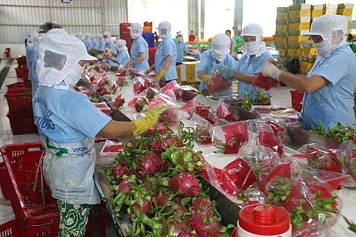 Nông thủy sản sẽ tận dụng lợi thế EVFTA thế nào?