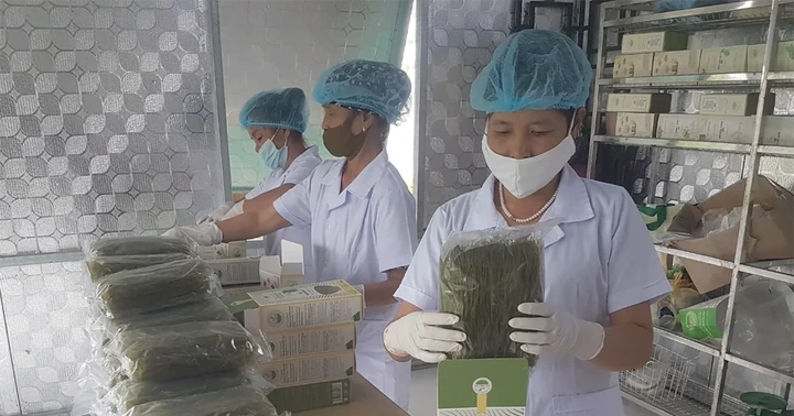 Đưa sản phẩm OCOP vươn xa