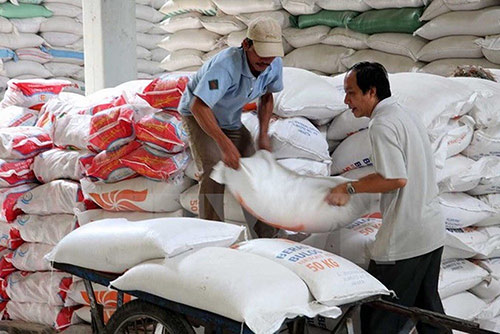 Gạo Việt 'kẹt đường' vào Trung Quốc