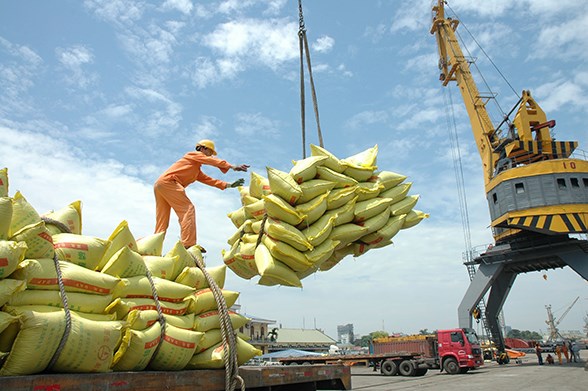 Đón đầu cơ hội 'cởi trói’ xuất khẩu gạo