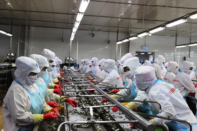 Xuất hiện cơ hội cho con tôm Việt trong cuộc chiến thương mại Mỹ- Trung