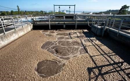 Doanh nghiệp thủy sản kêu khó khi áp dụng quy chuẩn nước thải