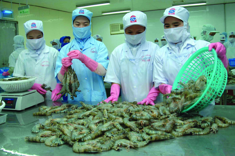 Thủy sản Việt Nam: Tăng trưởng nhưng còn nhiều khó khăn