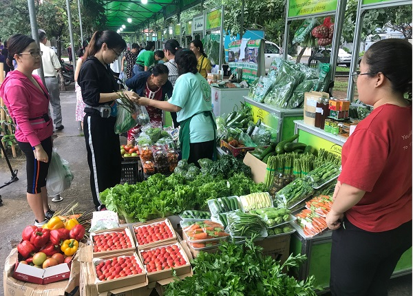 Đẩy mạnh xuất khẩu hàng hóa của Việt Nam vào ASEAN