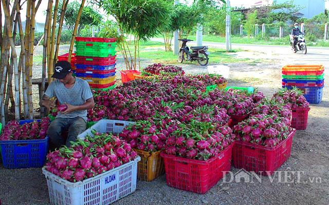 Người Trung Quốc ăn khỏe nhưng không phải bán thứ gì sang cũng được
