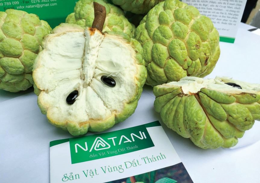 Duyên nợ mãng cầu