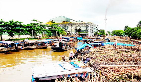Nhiều nhà máy đường chờ… phá sản
