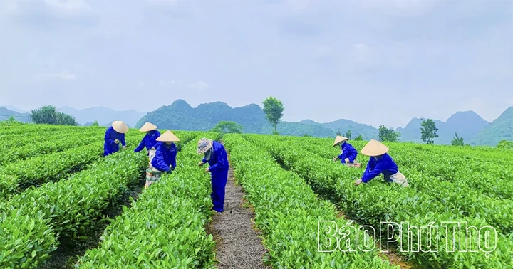 Mở rộng không gian thương mại trong kỷ nguyên số