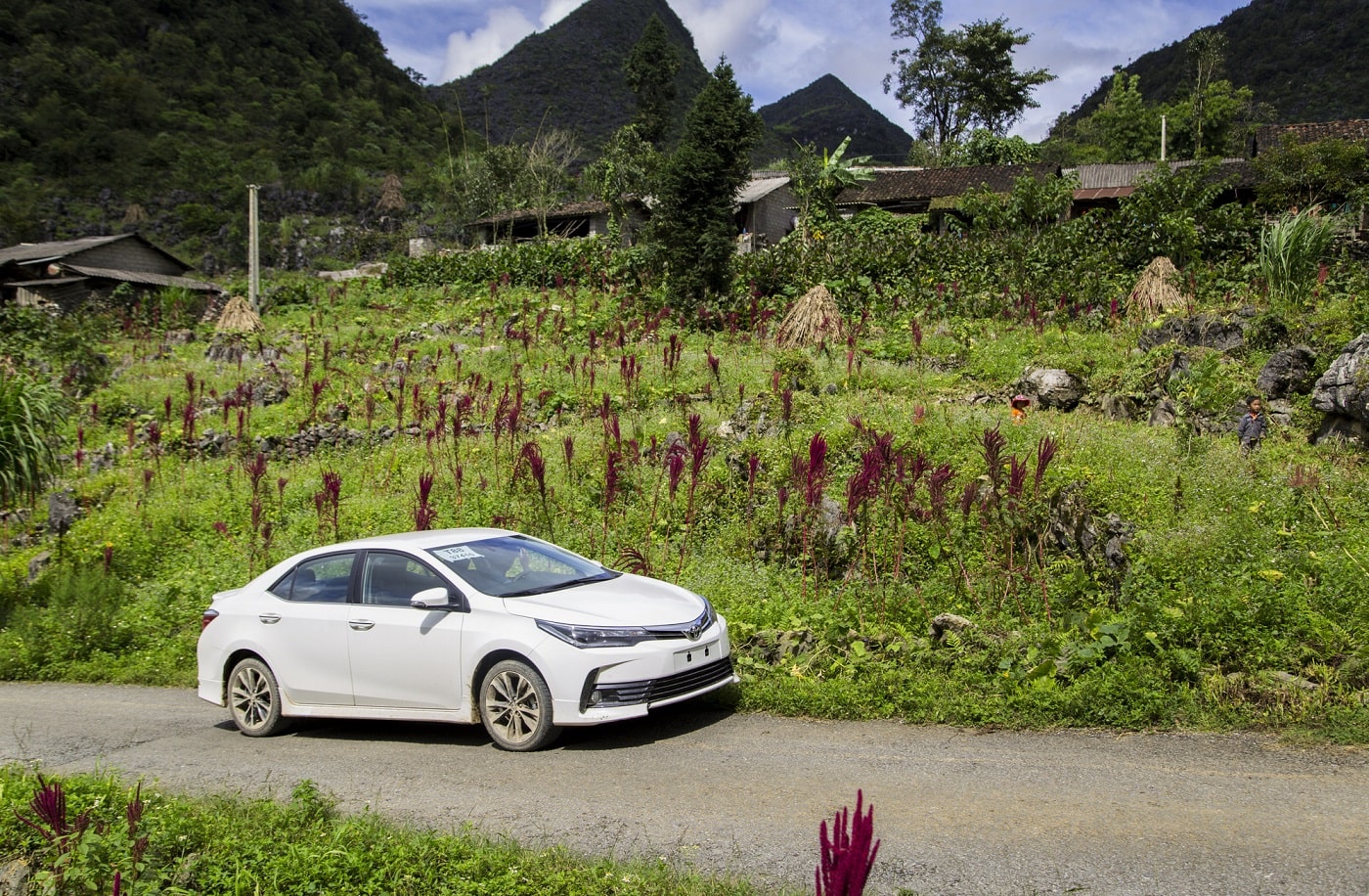 Doanh số của Toyota Việt Nam tăng 48% 