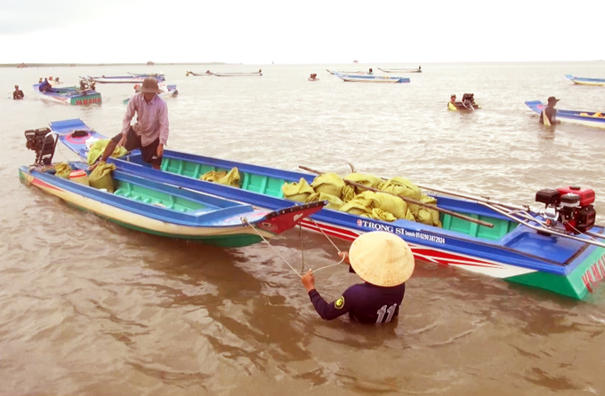 Hải sản cạn kiện, ngư dân dân Cà Mau mong sớm áp dụng Luật Thủy sản
