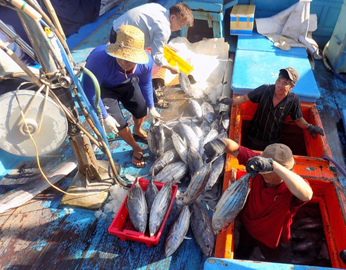Nhiều tiến bộ trong khắc phục 'thẻ vàng' IUU