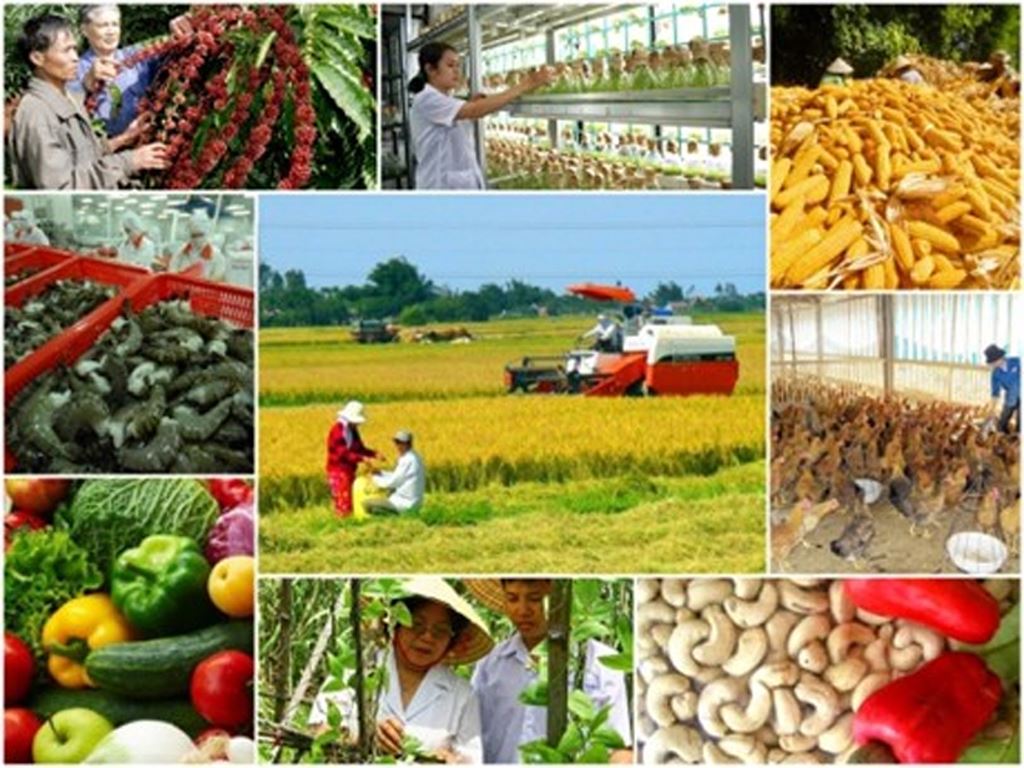 Nông nghiệp phát triển tích cực dù nhiều thách thức
