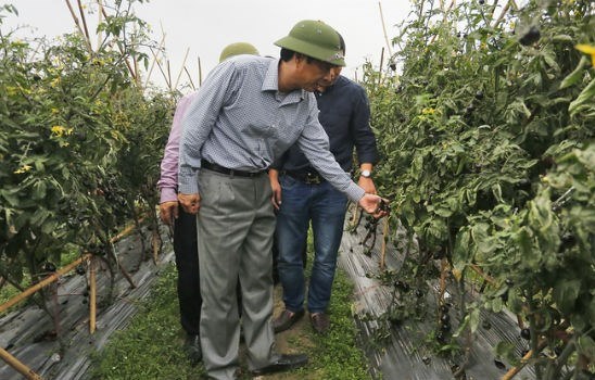 Hàng loạt ưu đãi cho doanh nghiệp đầu tư nông nghiệp tại Quảng Ninh