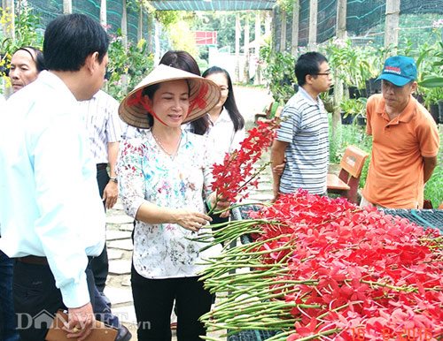 TP.HCM: Đưa nông dân xuất ngoại học nghề nông