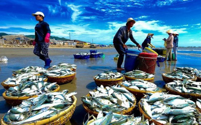 Đơn hàng bật tăng nhờ EVFTA: Cổ phiếu thủy sản nơi “nóng” nơi “lạnh”
