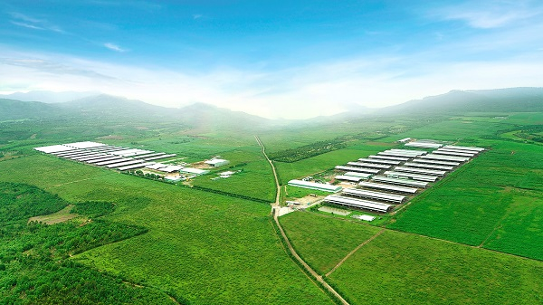 Dư địa và xu hướng phát triển nào cho ngành sữa tươi Việt Nam?