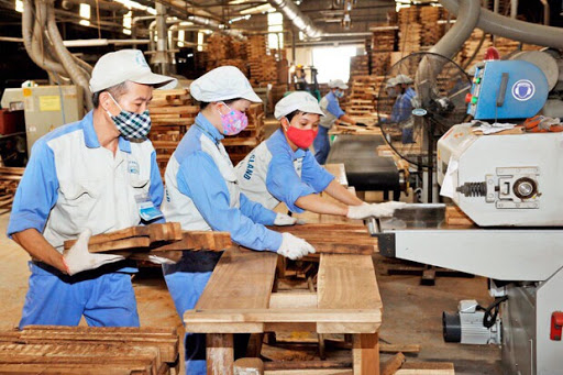 Doanh nghiệp Việt thiếu thông tin về EVFTA